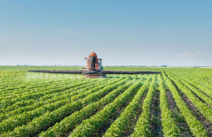 Mercado de defensivos recua 4,3% na safra 2024/25 de soja