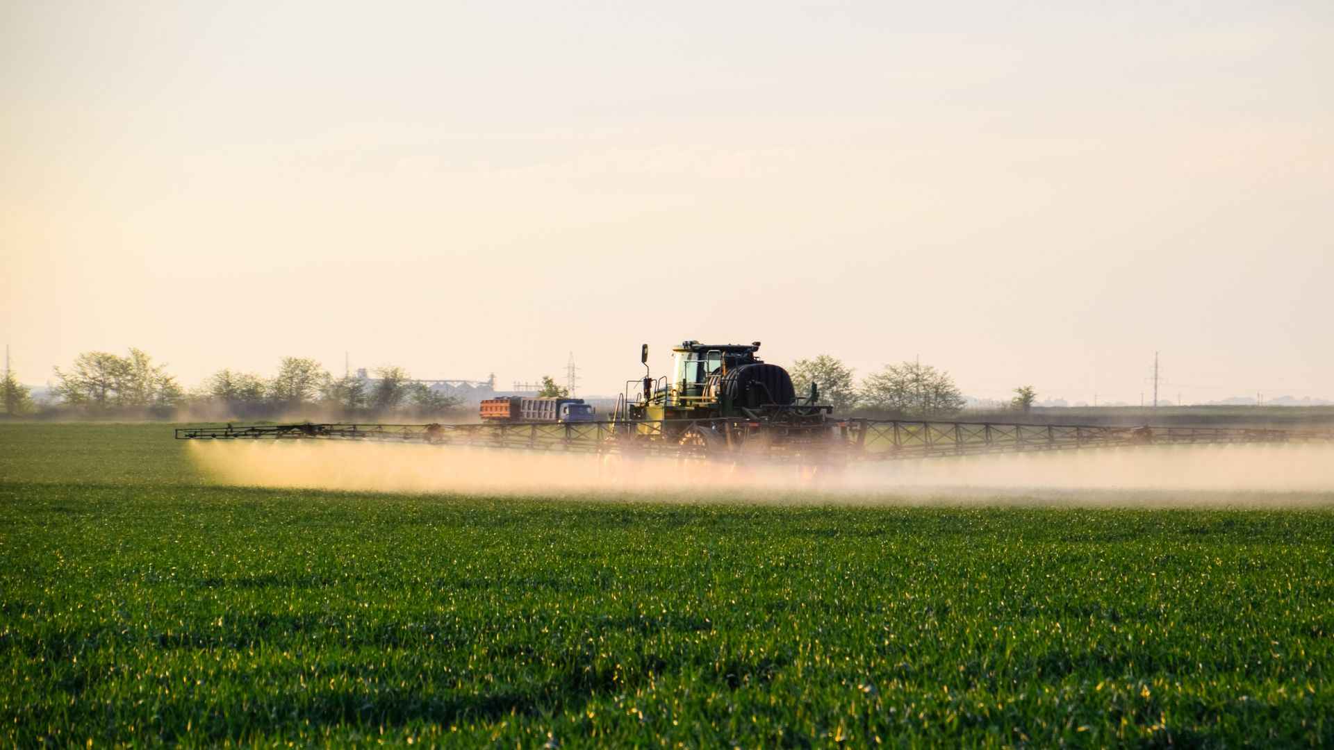Entregas de fertilizantes cresceram 2,4%  no primeiro semestre e 15,7% em junho