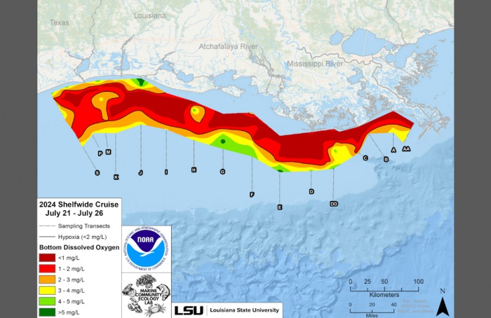 Zona morta no Golfo do México cresce além da média