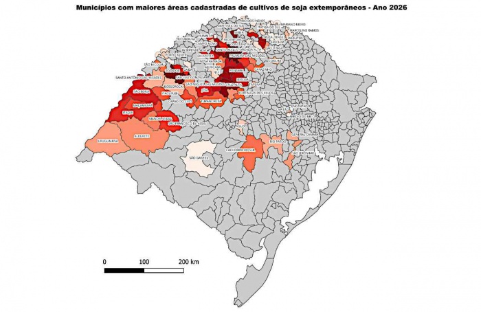 No Rio Grande do Sul, soja fora de época em quase 38 mil hectares