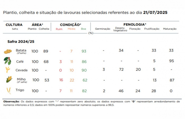 PR Safra 2024/25: geadas e estiagem impactam trigo
