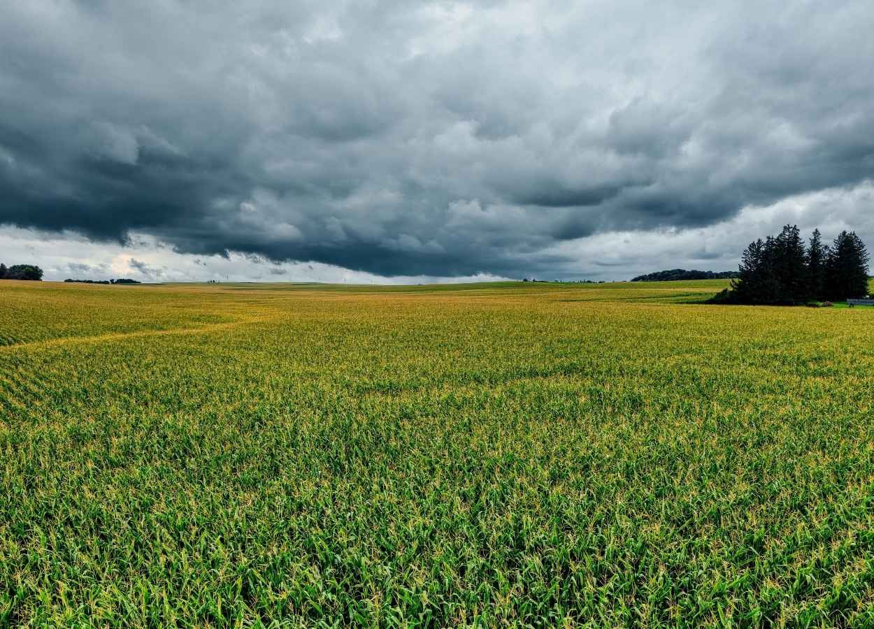 Un frente frío se desplaza por el sur y el sureste este fin de semana.