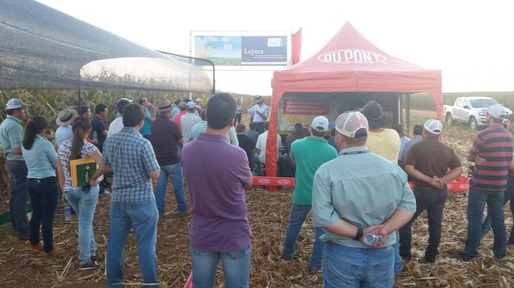 Dia de Campo Safra 2017 mostra portfólio de alta tecnologia para a cultura do milho