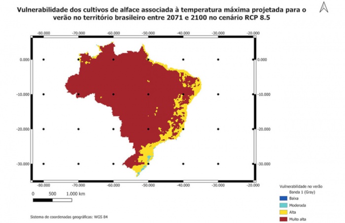 Alface pode ficar inviável no campo até 2100, alerta Embrapa