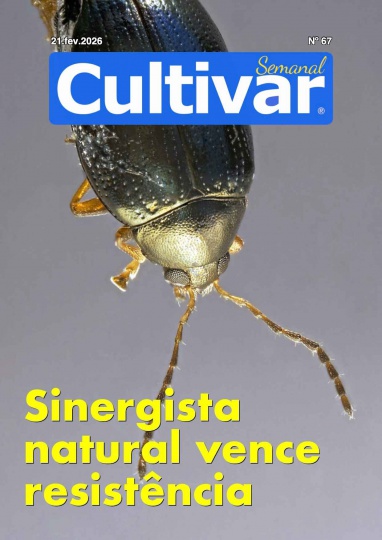 Cultivar Semanal 67