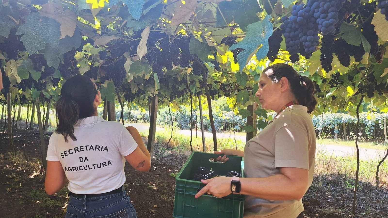 Foto:&nbsp;Elstor Hanzen