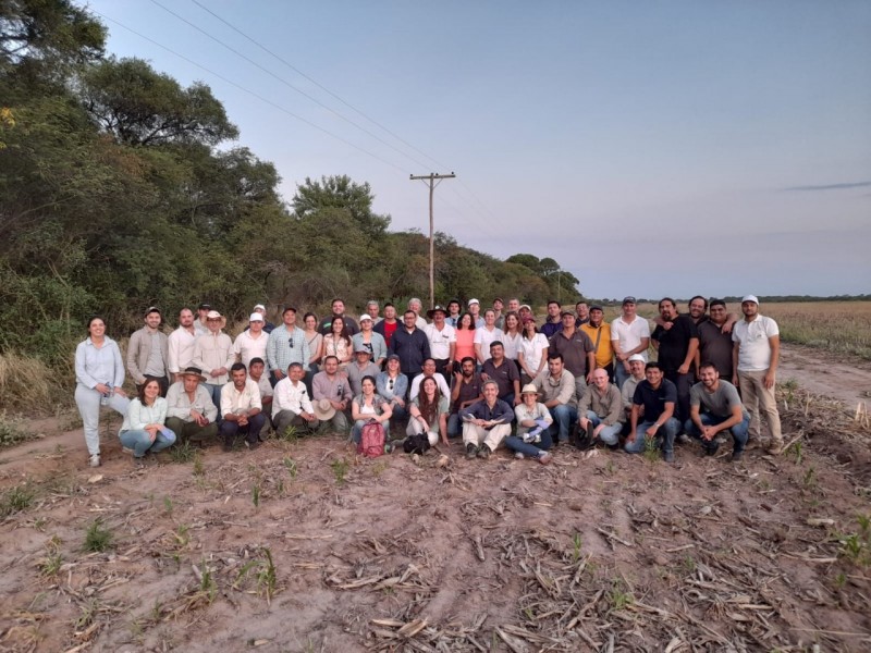 Secretaria da Agricultura participa de treinamento na Argentina sobre controle de gafanhotos
