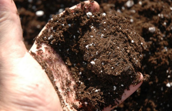 China reduz exportações de MAP e DAP e pressiona o mercado