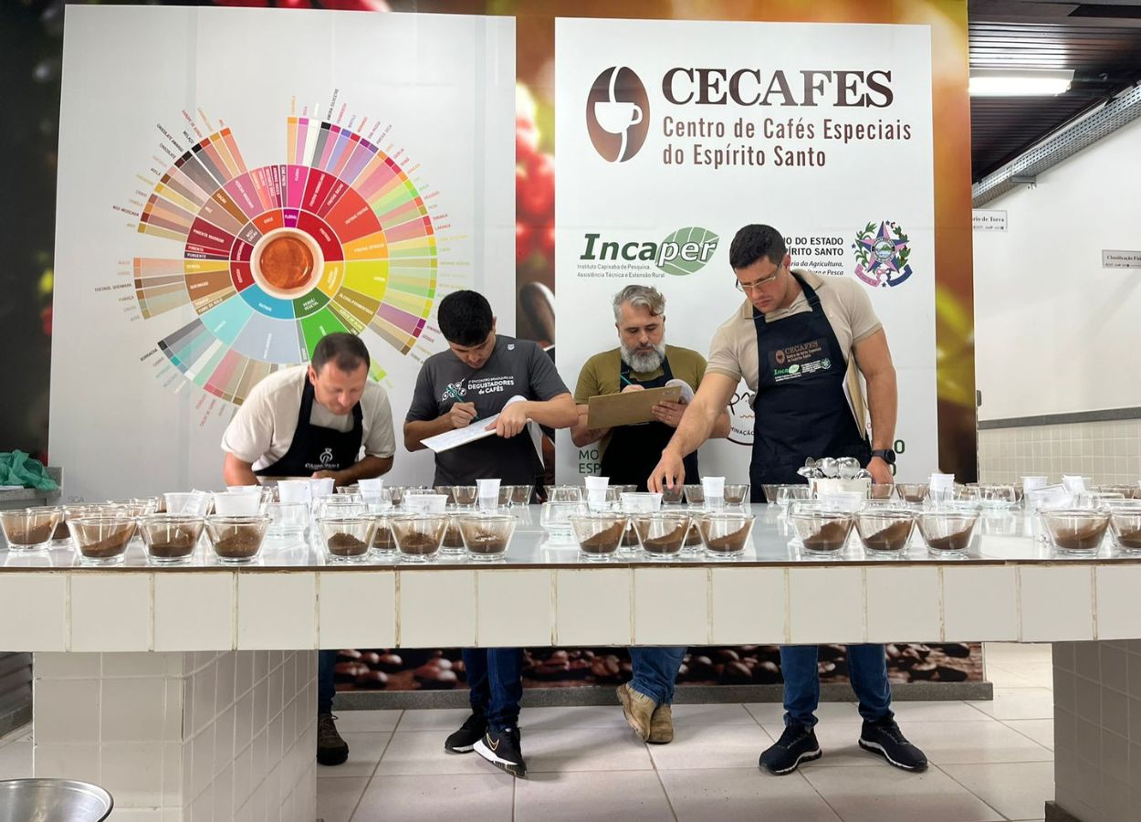 Centro de Cafés Especiais do Espírito Santo apontou diversidade de aromas e sabores e qualidade de bebida dos cafés canéforas de MT