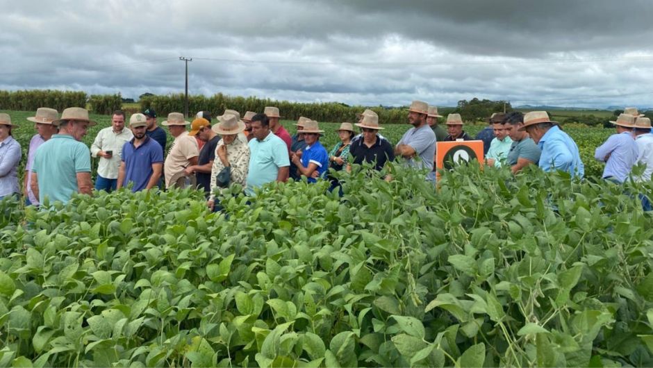 Foto:&nbsp;Andriele dos Anjos