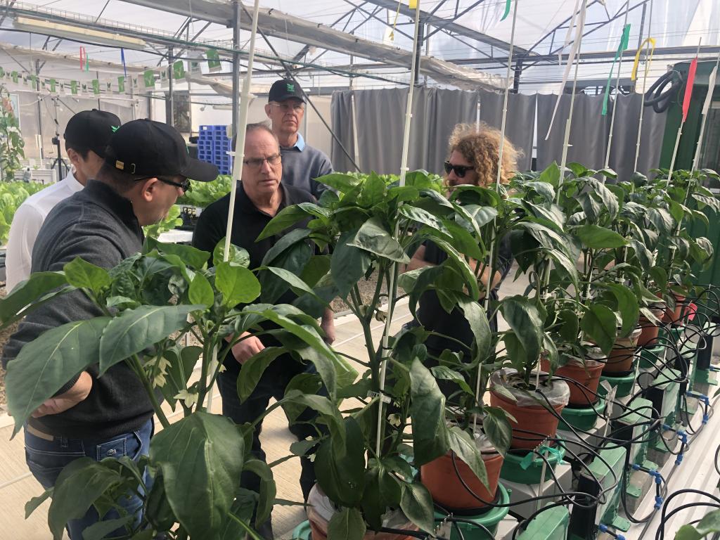 Agro brasileiro vai a Israel por novas tecnologias e negócios