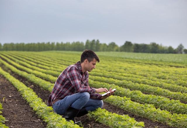 Câmara Agro 4.0 define plano de ações prioritárias