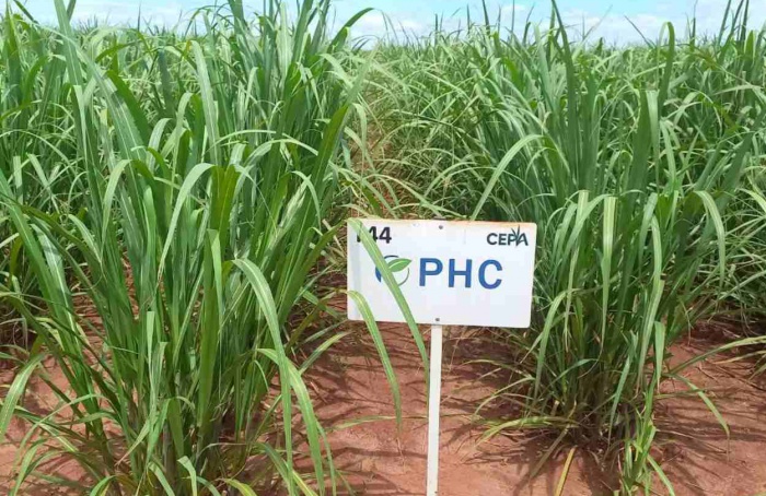 PHC leva soluções sustentáveis ao Cepa Farm MS