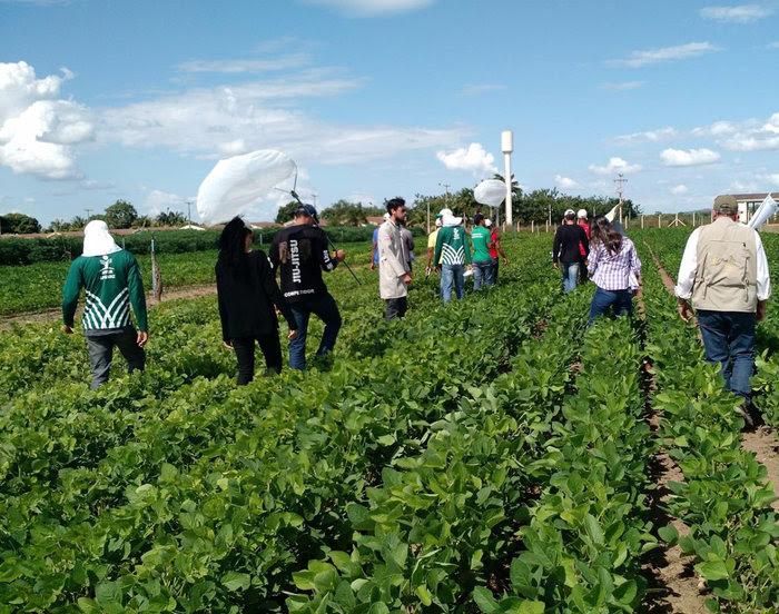 Andef promove curso de formação de monitores de pragas para estudantes da Bahia