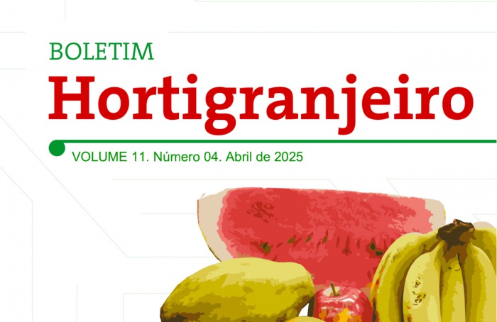 Oferta baixa eleva preço do tomate, enquanto batata mantém queda nas Ceasas