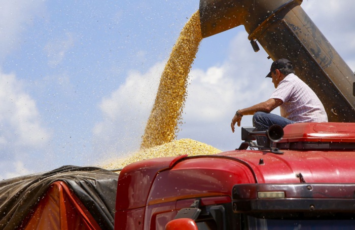 Valor Bruto da Produção Agropecuária do Paraná alcançou R$ 197,8 bilhões em 2023