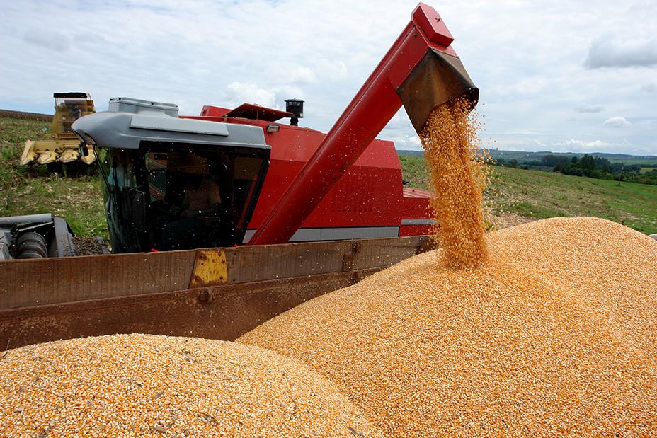 Aumento da safrinha do milho traz desafios logísticos