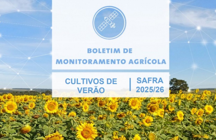 Chuvas favorecem lavouras de primeira safra, aponta Conab