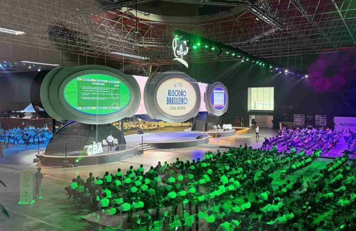 Sanidade do algodão começa antes das pragas e dos primeiros sintomas