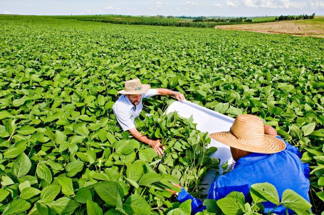 Emater-PR e Embrapa promovem treinamento em boas práticas agrícolas