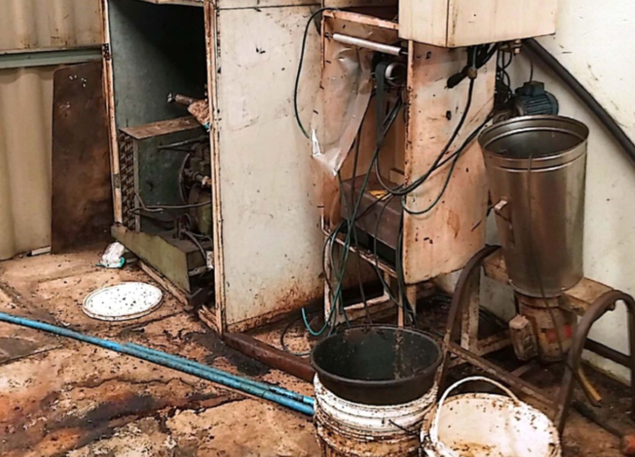 Fiscalização interdita fábricas de suco no interior de SP