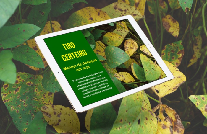 E-book “Tiro Certeiro: controle de mancha-alvo em soja” já está disponível aos leitores