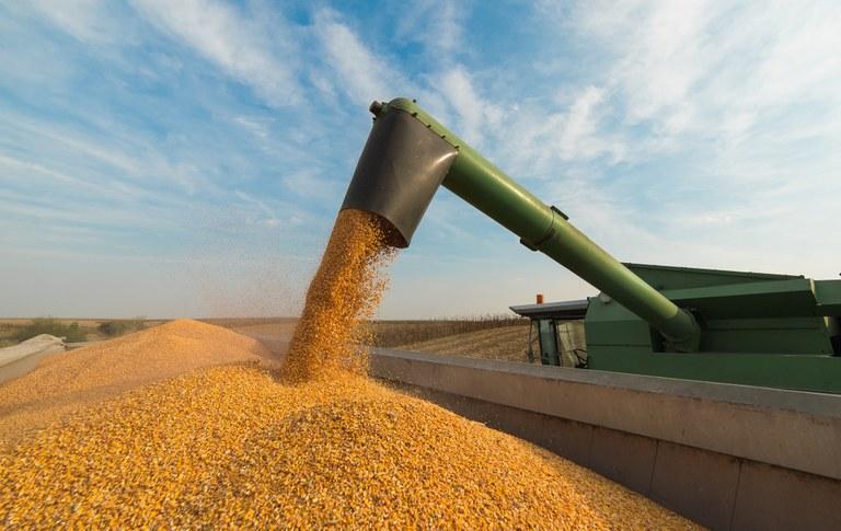 Valor da Produção Agropecuária para 2020 é estimado em R$ 674,10 bilhões