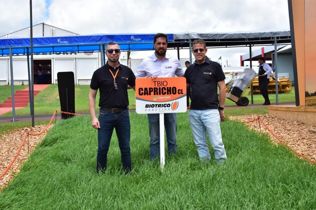 Especial Show Rural: Biotrigo e Basf lançam trigo Clearfield