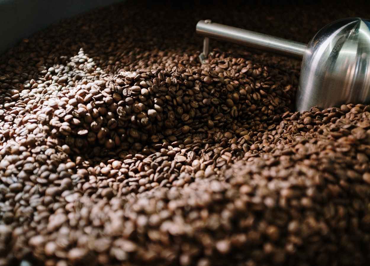 Riscos climáticos no Brasil e incertezas do comércio global são fatores associados a alta do café nesta semana