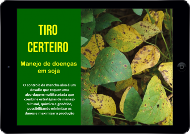 Tiro certeiro: manejo de mancha-alvo em soja