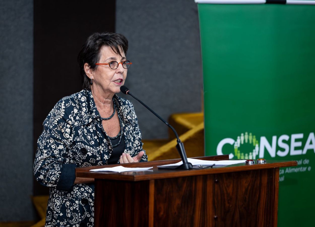 Novo ciclo do BNDES Bioinsumos para agricultura familiar foi anunciado em Brasília, durante Plenária do Consea