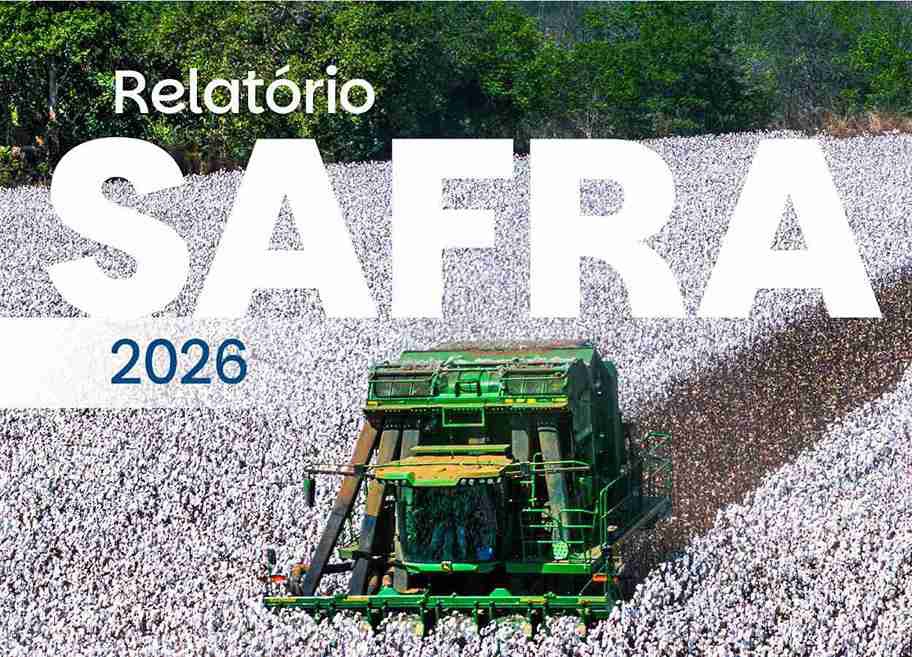 Abrapa aponta exportações recordes no algodão 2025/26