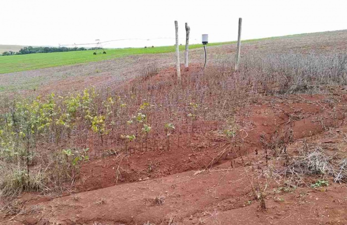Chuvas intensas elevam risco de erosão do solo agrícola
