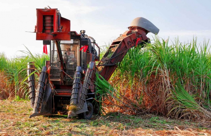 Moagem de cana recua 2,36% no acumulado da safra 2025/26