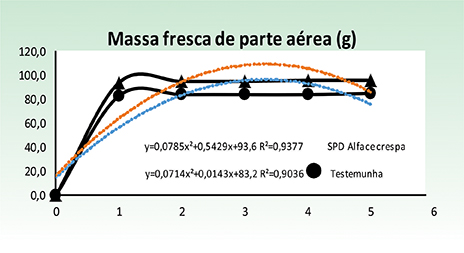 Figura 4 - Curvas e equações de regressão polinomiais aplicadas no modelo estatístico, no sistema de plantio direto com uso da palhada de sorgo e convencional na alface cultivar Crespa, Palotina, PR