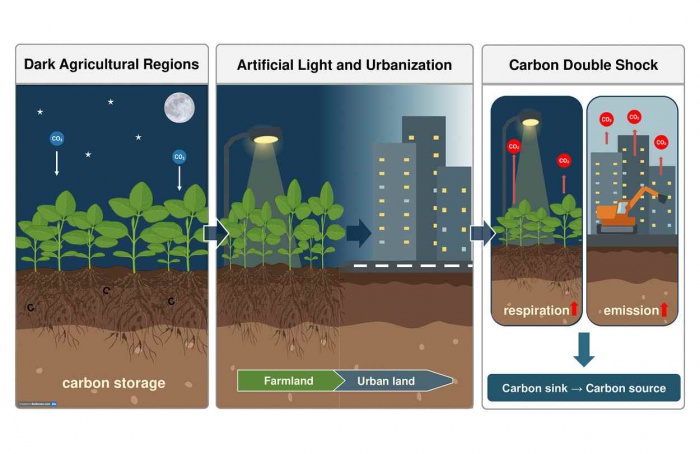 Luz artificial noturna ameaça reservas de carbono no campo