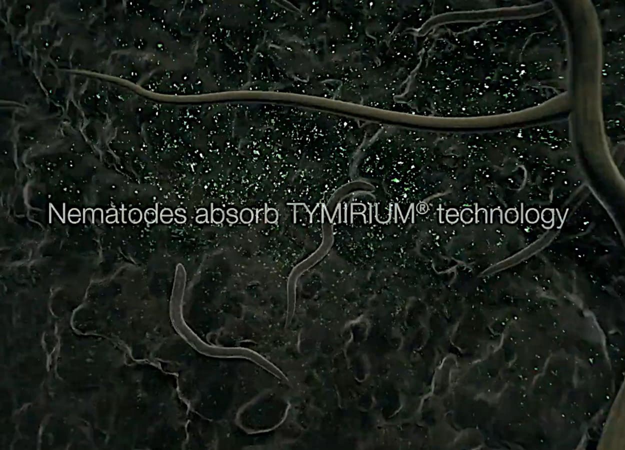 Syngenta lança no Brasil tecnologia Tymirium