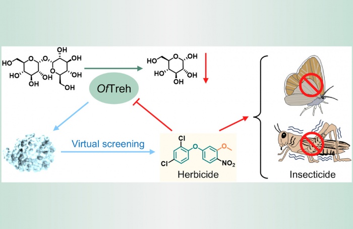 Descobertos novos inseticidas a partir de herbicidas