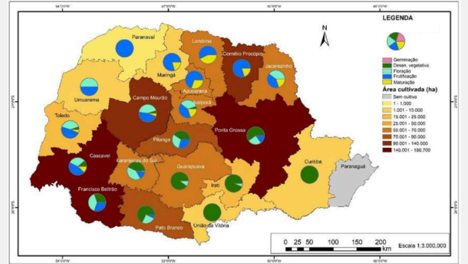 Figura 2:&nbsp;área cultivada e fases do trigo&nbsp;