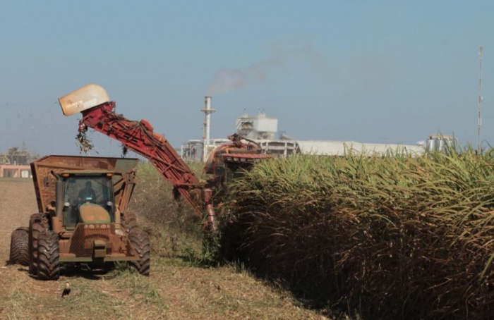 Goiás prevê recorde na safra de cana 2024/25