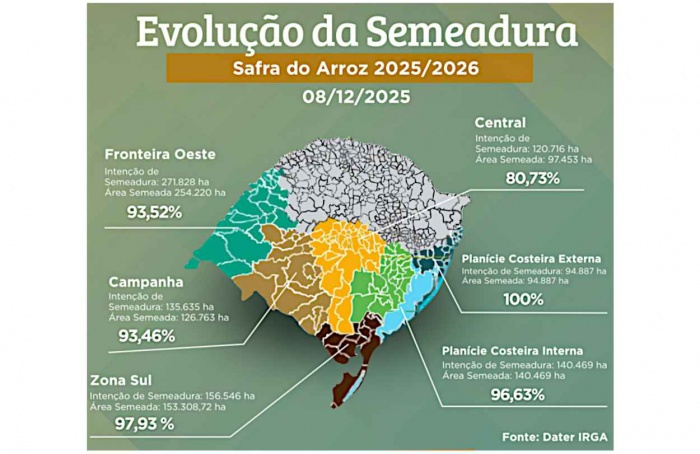Semeadura de arroz atinge 94% da área no Rio Grande do Sul