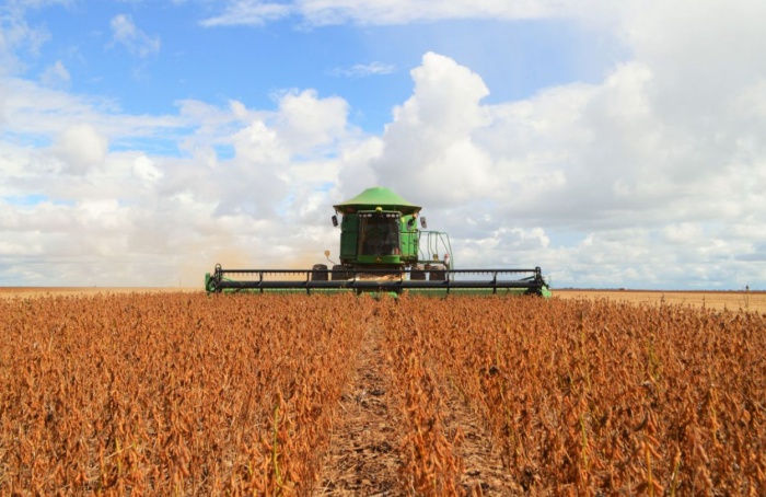 Soja avança em Rondônia e ultrapassa 700 mil hectares