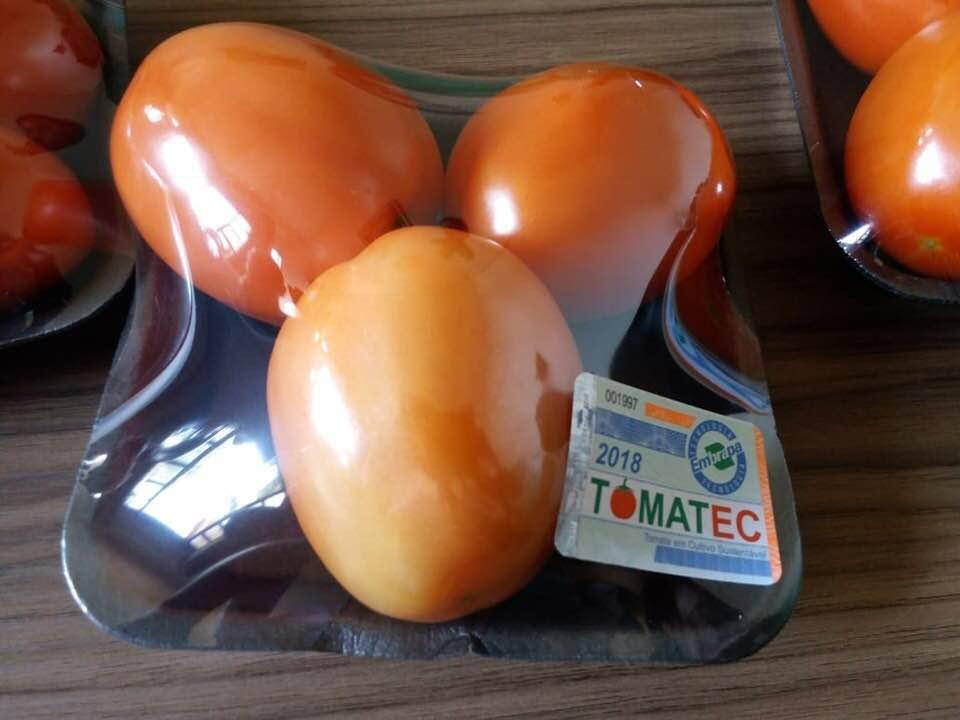 Tomatec se consolida no Paraná