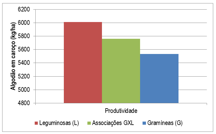 Figura 1 - Produtividade de algodoeiro cultivado após plantas de cobertura das famílias das leguminosas, gramíneas e suas associações. Santa Helena de Goiás, 2013. 