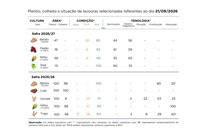 PR Safra 2026/27: plantio do milho avança em diferentes regiões