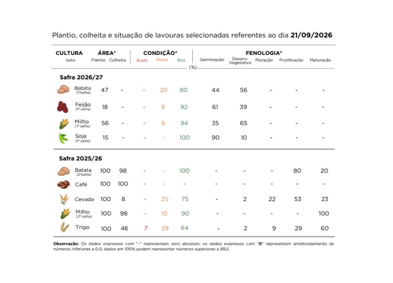 PR Safra 2026/27: plantio do milho avança em diferentes regiões