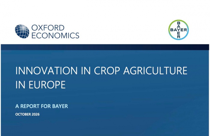 Agricultura brasileira cresce mais que a europeia, aponta estudo