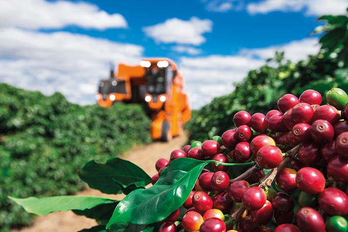 Características e benefícios da colheita mecanizada de café