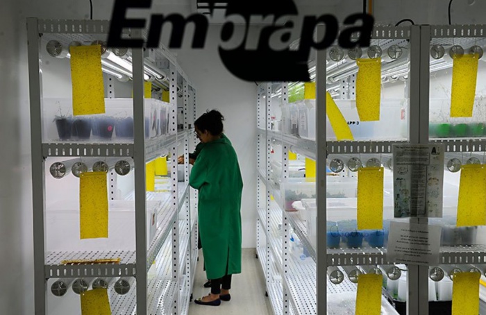 Nova lei isenta a Embrapa de taxas para registro de patente