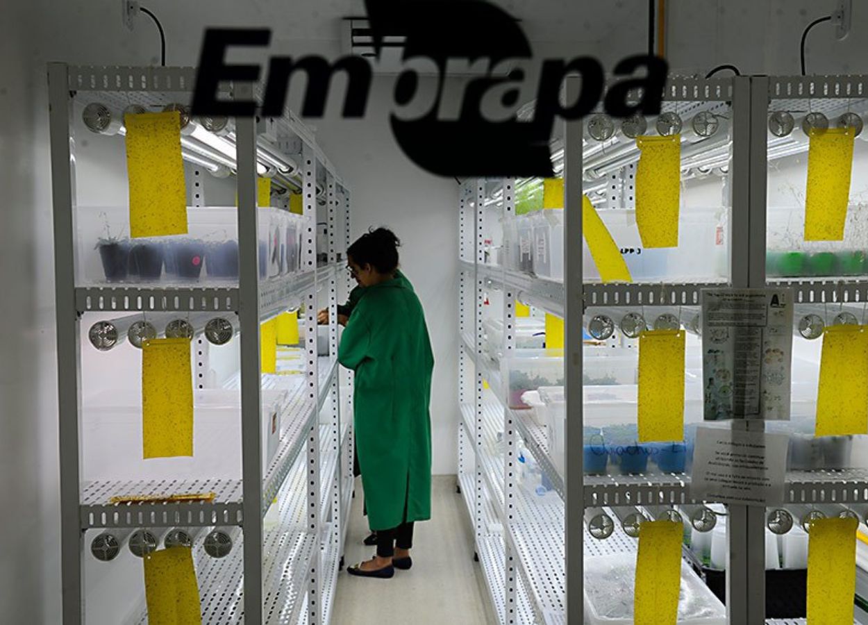 Nova lei isenta a Embrapa de taxas para registro de patente